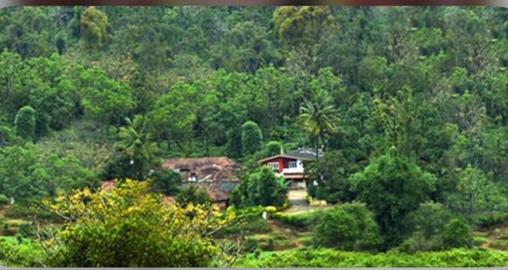 Coorg Naladi Holidays Kakkabe Eksteriør bilde